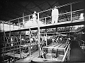 souvenirs en noir et blanc (281)